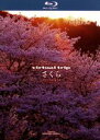 【中古】 virtual trip さくら nostalgia(Blu-ray Disc)/(BGV)