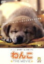 【中古】 わんこ THE MOVIE/(オムニバス映画),広末涼子(ナレーション),大島ミチル(音楽)