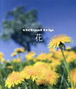 【中古】 virtual trip 花 Flowers 四季の山野草と高山植物（Blu－ray Disc）／（BGV）,hiROki sAiTOh（音楽）