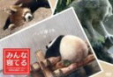 【中古】 みんな寝てる−パンダもゾウもカピバラも・・・動物達の寝顔いっぱい−/(趣味/教養),YOU,實吉達郎