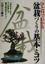 【中古】 ひと目でわかる盆栽づくりの基本とコツ 日常の手入れとプロが教える整姿・剪定のポイント/高柳良夫(著者)