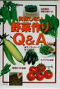 【中古】 失敗しない野菜作りQ&A/主婦の友社(著者)