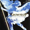 【中古】 HUNTING　FOR　YOUR　DREAM（TYPE－A）／Galneryus