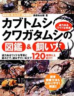 【中古】 カブトムシ・クワガタムシの図鑑＆飼い方 ワイド版・動物図鑑シリーズ／藤原尚太郎【著】 【中古】afb