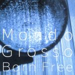 【中古】 Born　Free／MONDO　GROSSO