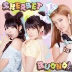 【中古】 SHERBET（初回生産限定盤）（DVD付）／Buono！（Berryz工房）