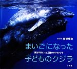  まいごになった子どものクジラ 南太平洋トンガ王国のザトウクジラ 小学館の図鑑NEOの科学絵本／越智隆治