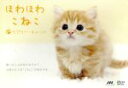 【中古】 ほわほわこねこ ラブリー・キャット/ドキュメント・バラエティ