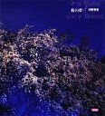 【中古】 桜の夢/内野克美【著】