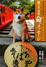 【中古】 捨て犬・未来命のメッセージ 東日本大震災・犬たちが避難した学校 ノンフィクション・生きる..