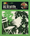 【中古】 失敗しない観葉植物 上手な手入れと飾り方/主婦と生活社
