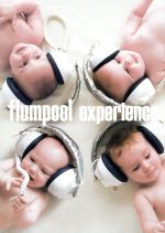 【中古】 experience コレクターズエディション（DVD付）／flumpool