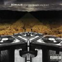 【中古】 【輸入盤】What You Thought You Heard／Borialis