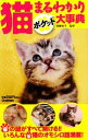 【中古】 猫まるわかりポケット大事典/加藤由子【監修】