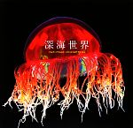 【中古】 深海世界／趣味・就職ガイド・資格