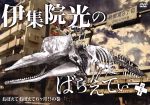 【中古】 伊集院光のばらえてぃーぷらす　おぼえておぼえて6ヶ月の巻／伊集院光,桐畑トール,田代32,バイきんぐ,イマニヤスヒサ,オテンキ,ジャスティス岩倉,田代さやか