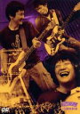 【中古】 The ピーズ 25周年野音/Theピーズ