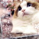 【中古】 卒業入学オルゴール/(オルゴール)