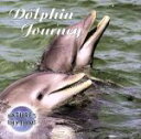 【中古】 【輸入盤】Nature’s Rhythms: Dolphin Journey/(オムニバス)
