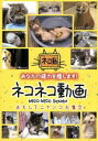 【中古】 ネコネコ動画〜おもしろニャンコ大集合〜/(趣味/教養),金沢麻衣(ナレーション)