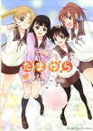 【中古】 たまゆら～hitotose～(3) エデンC／momo(著者)