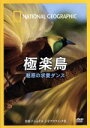 【中古】 ナショナル ジオグラフィック 極楽鳥 魅惑の求愛ダンス/(趣味/教養)