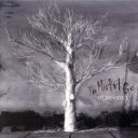 【中古】 The Misfit Go(初回限定盤)(DVD付)/OLDCODEX