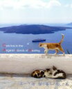 【中古】 エーゲ海・猫が暮らす癒しの島(Blu−ray Disc)/(趣味/教養),秋山裕和(音楽)