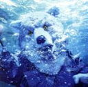 【中古】 INTO THE DEEP(初回生産限定盤)(DVD付)/MAN WITH A MISSION