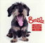 【中古】 Smile(DVD付)/T−SQUARE SUPER BAND,則竹裕之,須藤満,田中豊雪,田中晋吾,宮崎隆睦,仙波清彦,安藤正容,T−SQUARE/THE SQUARE 【中古】afb 1,936円