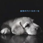 【中古】 「盲導犬クイールの一生」／石田ゆり子（朗読）