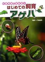 【中古】 いきものとなかよしはじめての飼育　アゲハ／今泉忠明【監修】