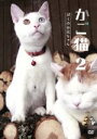 【中古】 かご猫2 ぼくのお兄ちゃん/(趣味/教養)