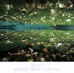 【中古】 さらさら／僕はきっと旅に出る／スピッツ