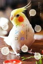 【中古】 うちのインコ インコへの愛がギューッと深まる「あるある」/コンパニオンバード編集部【編】