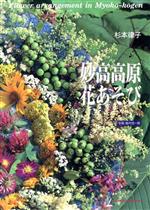 杉本律子【著】販売会社/発売会社：アートダイジェスト/ 発売年月日：1992/10/01JAN：9784900455160