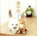 【中古】 猫中毒／テゴマス（NEWS）