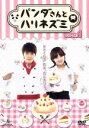 【中古】 パンダさんとハリネズミ DVD−SET1/ドンヘ,ユン・スンア,チェ・ジニョク