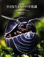 【中古】 写真で見る小さな生きものの不思議 土壌動物の世界/皆越ようせい(著者)