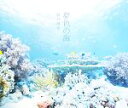 【中古】 夢色の海/鍵井靖章【著】