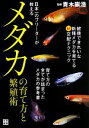 【中古】 日本一のブリーダーが教えるメダカの育て方と繁殖術／青木崇浩【監修】