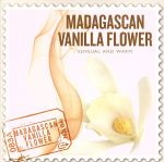 【中古】 SCENTS OF THE WORLD～MADAGASCAL VANILLA FLOWER／Nature Notes