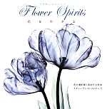 【中古】 写真集　フラワースピリッツ 花を生きる／スティーブン・N．メイヤーズ【写真】