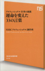 【中古】 プロフェッショナル仕事