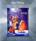 š ʪ졡ɡ쥯Blu−rayDiscˡʥǥˡ