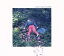 【中古】 ALARMS(初回生産限定盤)(DVD付)/Galileo Galilei 【中古】afb 762円