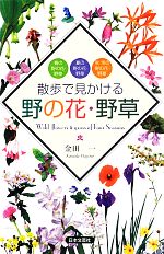 【中古】 散歩で見かける野の花・野草／金田一【著】