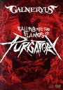 【中古】 FALLING INTO THE FLAMES OF PURGATORY（通常版）（DVD＋2CD）／Galneryus