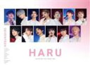 【中古】 SEVENTEEN 2019 JAPAN TOUR ‘HARU’【Loppi・HMV限定版】(Blu−ray Disc)/SEVENTEE...