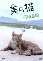 【中古】 美ら猫　石垣島編／（趣味／教養）,古城望（ナレーション）